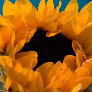 Meet your Posher, Mechelle